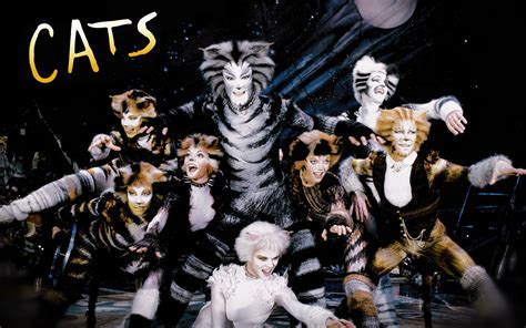 who are the main characters in cats musical? In this fantastical feline drama, who do you think has the most captivating vocal range?